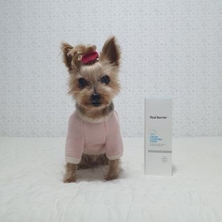 솜희님이 올린 리뷰 사진 2