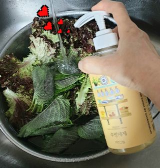 참살이님이 올린 리뷰 사진 4
