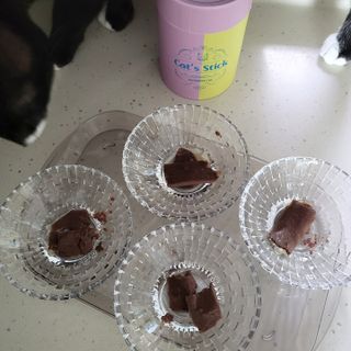 페페로니 맛있는 스틱 - 무항생제 닭고기 15개 + 원양선 참치 15개 — 5점을 준 리뷰어가 2021년 10월 올린 사용 사진