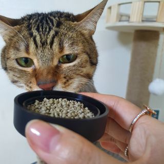 야옹이야옹이님이 올린 리뷰 사진 1