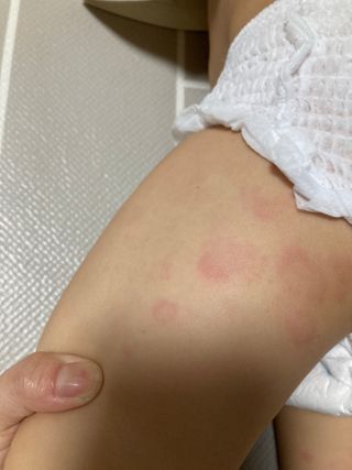 아리님이 올린 리뷰 사진 2