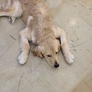 쏘오님이 올린 리뷰 사진 4
