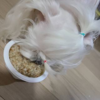 스카이보스님이 올린 리뷰 사진 3
