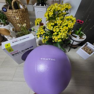 제인무탄바님이 올린 리뷰 사진 1