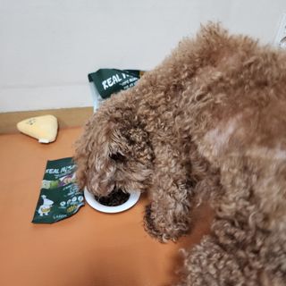 제이드님이 올린 리뷰 사진 2