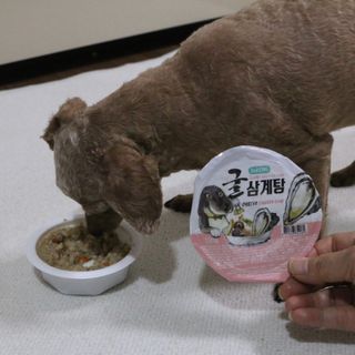나멍이님이 올린 리뷰 사진 1