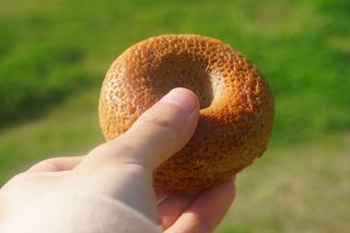 김땡칠님이 올린 리뷰 사진 2
