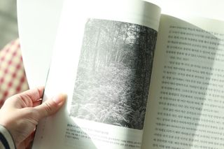 sointotea님이 올린 리뷰 사진 3