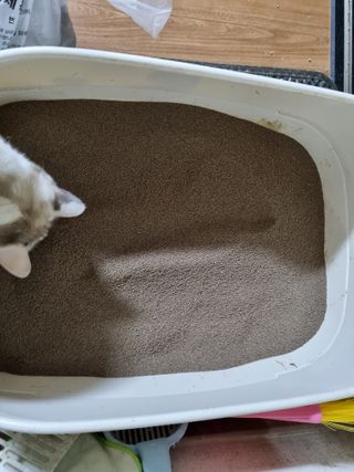 쳐저쏘님이 올린 리뷰 사진 3