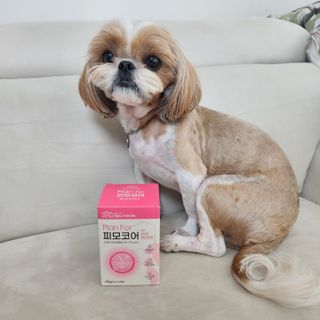 베베츄님이 올린 리뷰 사진 3