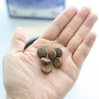 캐닌캐비어 알카라인 홀리스틱 그레이프리 앙뜨레 ALS_4종 오픈스카이, 와일드오션, 프리스피릿, 스페셜니즈 — 5점을 준 리뷰어가 2023년 2월 올린 사용 사진
