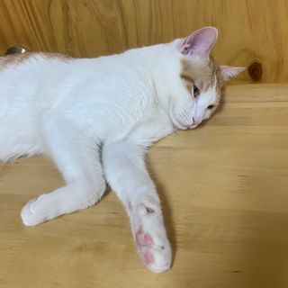 양블리님이 올린 리뷰 사진 2
