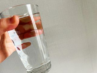 몽베스트위드어스[무라벨] 2L_6입_2Pack — 5점을 준 리뷰어가 2022년 1월 올린 사용 사진