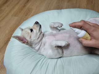 임예슬님이 올린 리뷰 사진 3