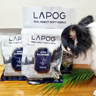 [푸디웜] 라포그 리얼인섹트 소프트키블 스킨 1KG — 5점을 준 리뷰어가 2022년 9월 올린 사용 사진