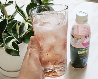더그레잇티 콤부차 [매일유업] 더그레잇티 44kcal 콤부차 300ml *12개입 (오리지널 6개+베리리치 6개) — 5점을 준 리뷰어가 2023년 7월 올린 사용 사진