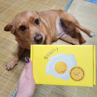 망구님이 올린 리뷰 사진 3