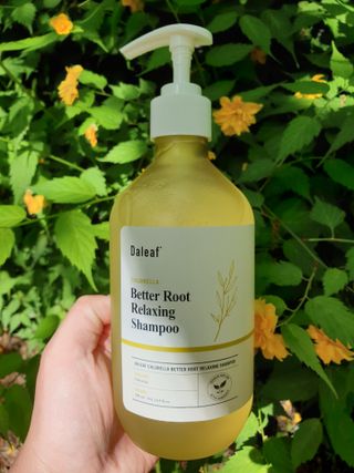 달리프 클로렐라 베러 루트 릴렉싱 샴푸 500ml — 5점을 준 리뷰어가 2021년 5월 올린 사용 사진