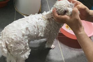 느제님이 올린 리뷰 사진 4