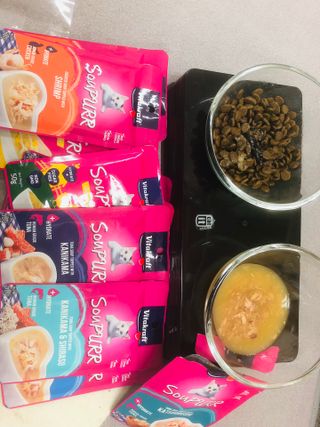 비타크래프트 고양이 수프 50g 3가지맛 x4팩씩 총 12팩 — 5점을 준 리뷰어가 2021년 8월 올린 사용 사진