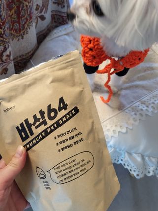 [보헤리] 국내산 강아지 육포간식 바삭 64 2종 — 5점을 준 리뷰어가 2022년 4월 올린 사용 사진