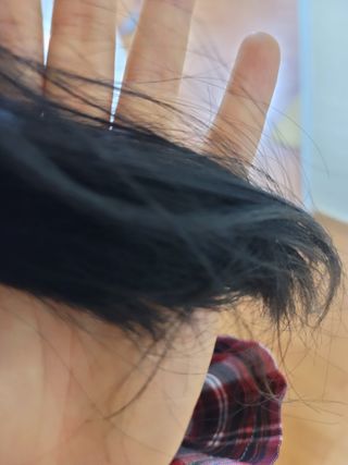 두근하하님이 올린 리뷰 사진 3