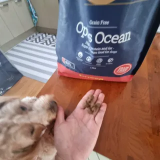 기린짱맘님이 올린 리뷰 사진 3
