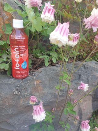 이쁜공주님이 올린 리뷰 사진 1