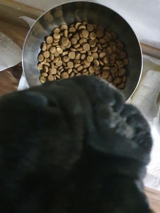 뽀기님이 올린 리뷰 사진 4