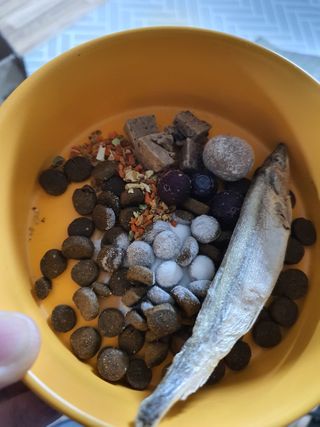찐쩡맘님이 올린 리뷰 사진 3