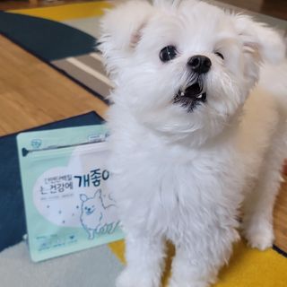 KimHyojin님이 올린 리뷰 사진 1