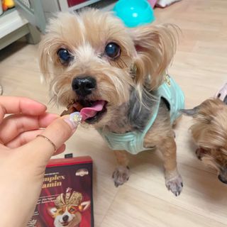 오렌지실버님이 올린 리뷰 사진 3