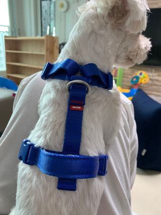 수성님이 올린 리뷰 사진 3