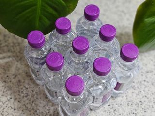 몽베스트 [MONTBEST] 330mL 20병 — 5점을 준 리뷰어가 2023년 12월 올린 사용 사진