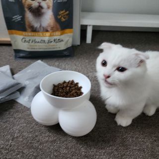 쭌뭉님이 올린 리뷰 사진 3