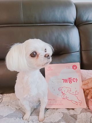 My Pet Care 천연단백질 관절건강에 개좋아 — 4점을 준 리뷰어가 2021년 3월 올린 사용 사진