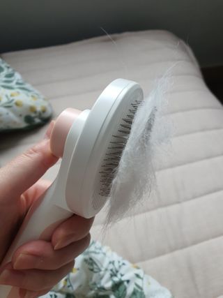 조원동새댁님이 올린 리뷰 사진 2