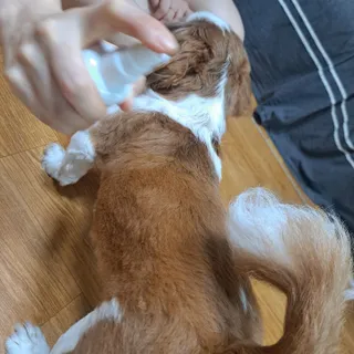 명남이님이 올린 리뷰 사진 2
