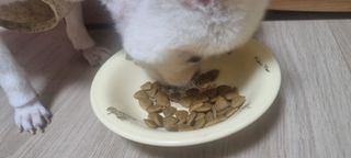 명샘님이 올린 리뷰 사진 1