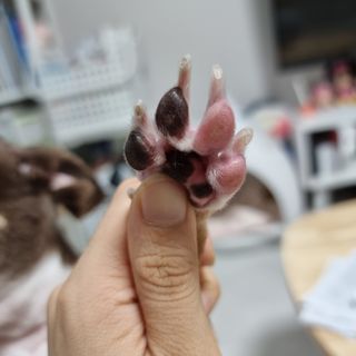 슬아님이 올린 리뷰 사진 3