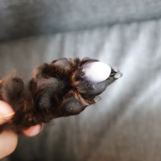 달콤한님이 올린 리뷰 사진 4