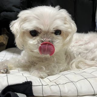 열무님이 올린 리뷰 사진 3