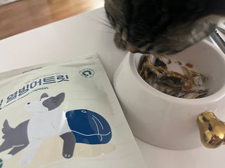 [펫시밀] 원물그대로 영양듬뿍 진공동결건조 치킨텐더100g, 열빙어트릿100g 강아지 고양이 간식 — 5점을 준 리뷰어가 2023년 5월 올린 사용 사진