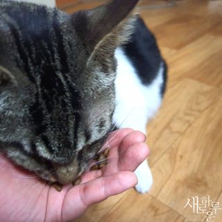 chk822님이 올린 리뷰 사진 4
