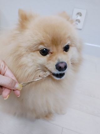 샐리지아님이 올린 리뷰 사진 4