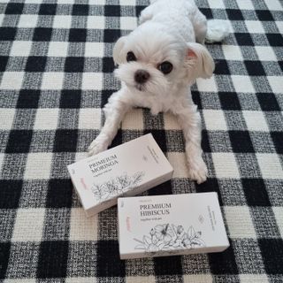 제잉님이 올린 리뷰 사진 2