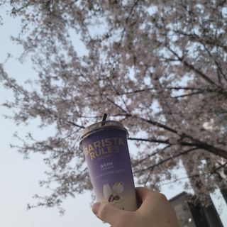 이째님이 올린 리뷰 사진 1