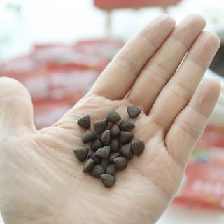 [푸디웜] 라포그  리얼인섹트 관절 저알러지 강아지 사료  1.2KG — 5점을 준 리뷰어가 2022년 8월 올린 사용 사진
