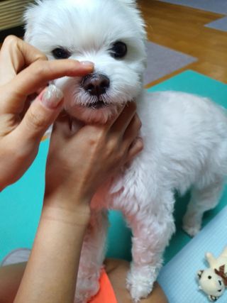 버츠비 케어플러스 릴리빙포앤노즈로션 — 3점을 준 리뷰어가 2021년 4월 올린 사용 사진