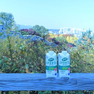 썽님이 올린 리뷰 사진 1